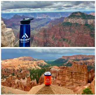 Winner of the annual campaign for employees to show us Company logo gear as they vacation around the world. 