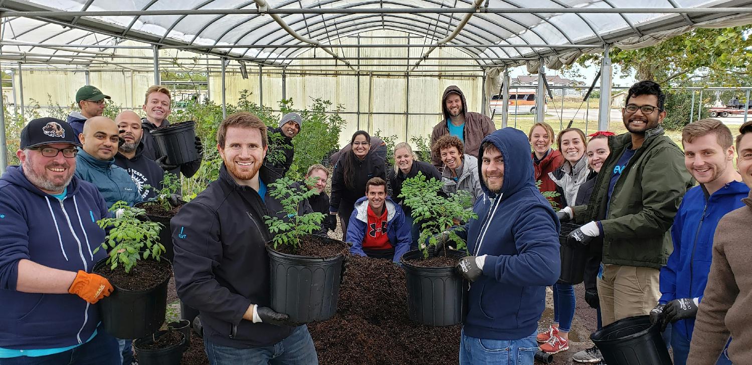 The Risk Team Volunteering - planting 100s of trees to off set our use of paper in our direct mail campaigns