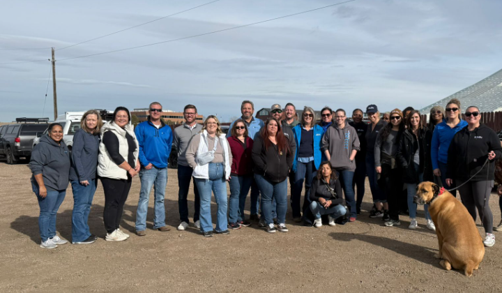 The BluSky team is gathering at a local farm to help prepare for Thanksgiving!
