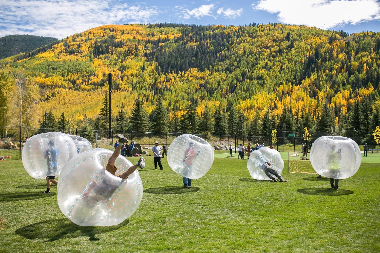 A scene from the Town's employee picnic. 