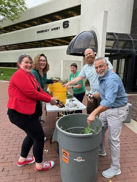 ITA Group EcoGroup Commitee members rehoming office tulip bulbs to team members homes.