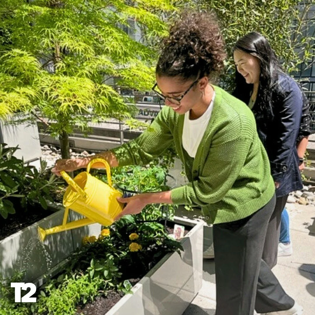 Tending to our community gardens at Take-Two New York. 