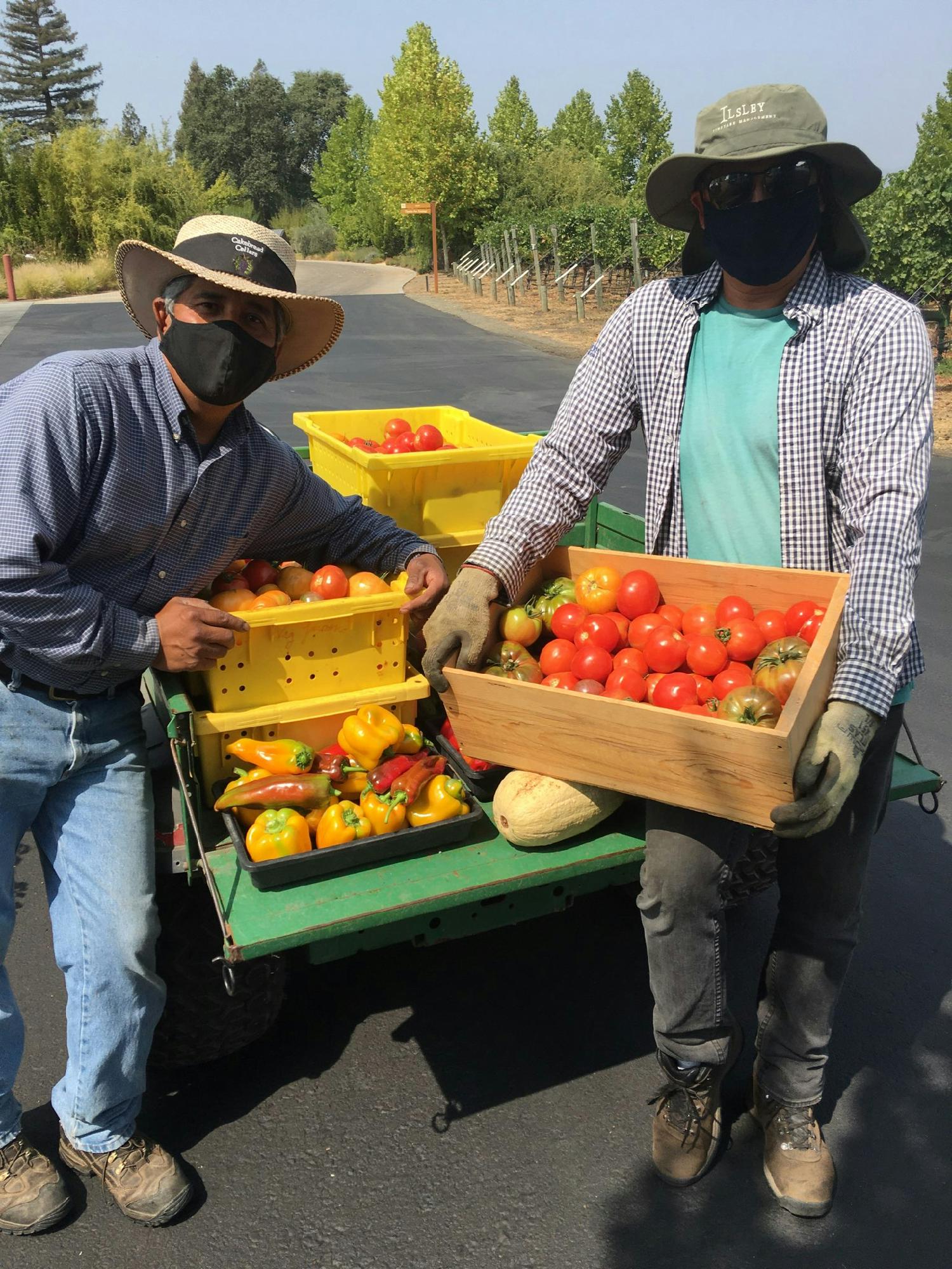Our Landscaping & Gardening team bringing employees fresh produce from the Cakebread Garden to enjoy with their families