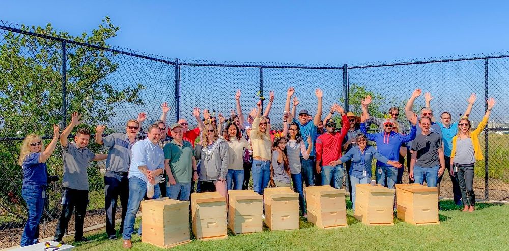 Our IT team at a bee-hive building team event! The team built bee hives to donate towards bee rescue efforts.
