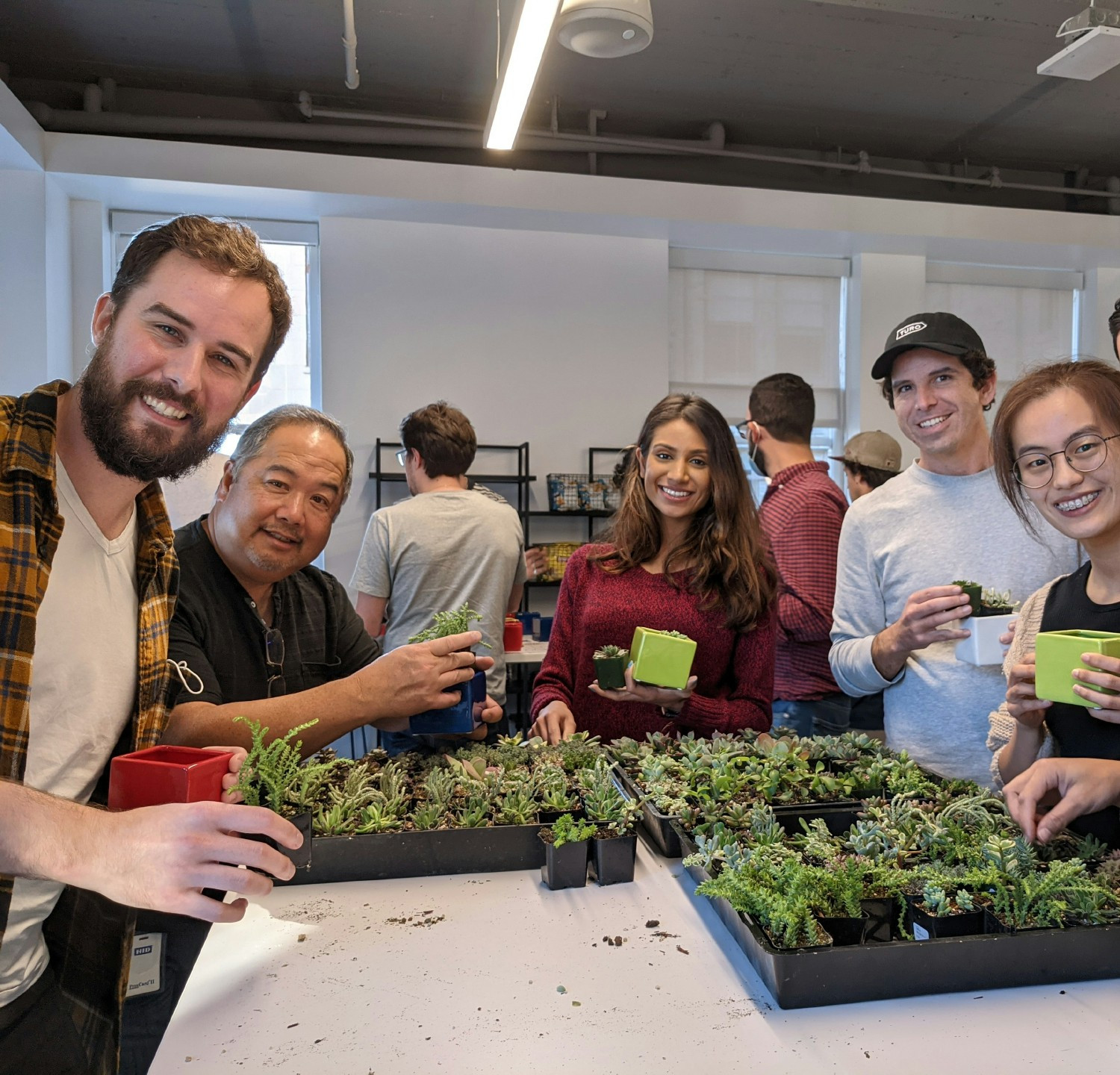 Designing your own succulent for your desk