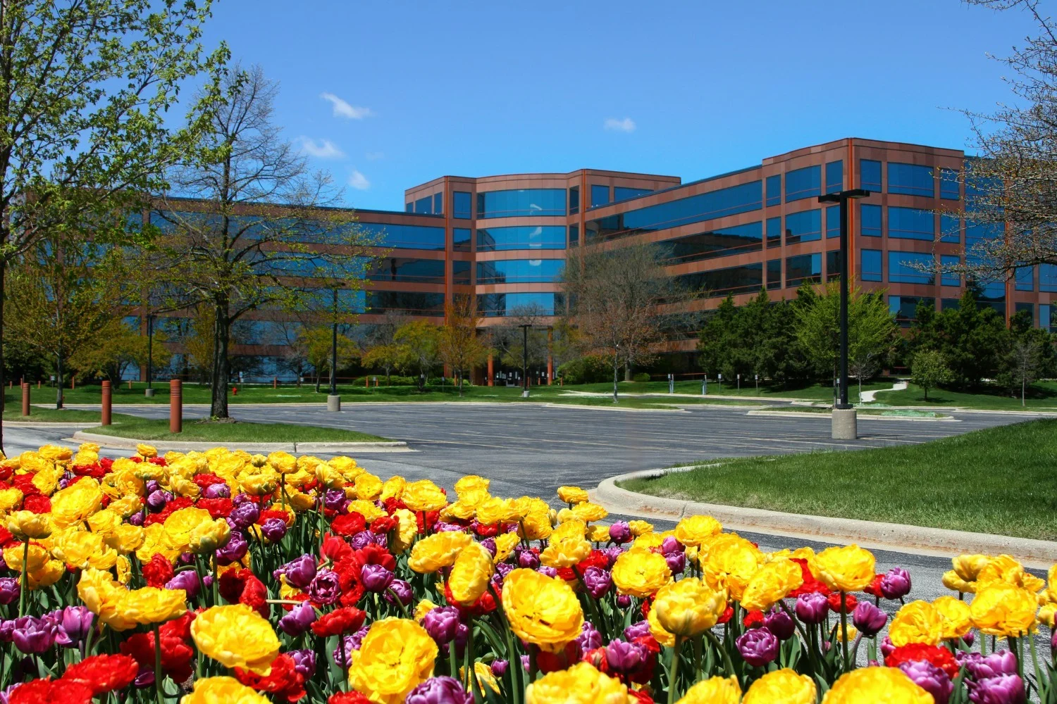 Working at Zebra Technologies Corporation Great Place To Work®