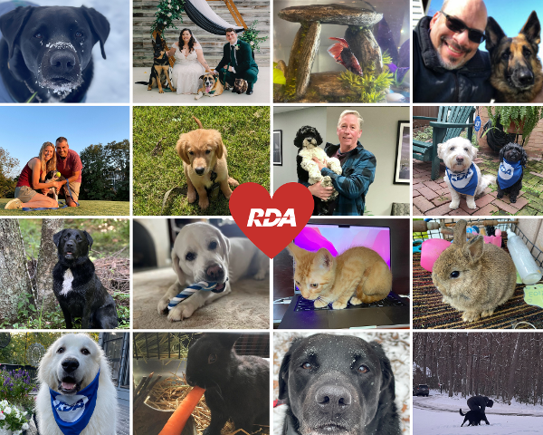 RDA's Furry Friends