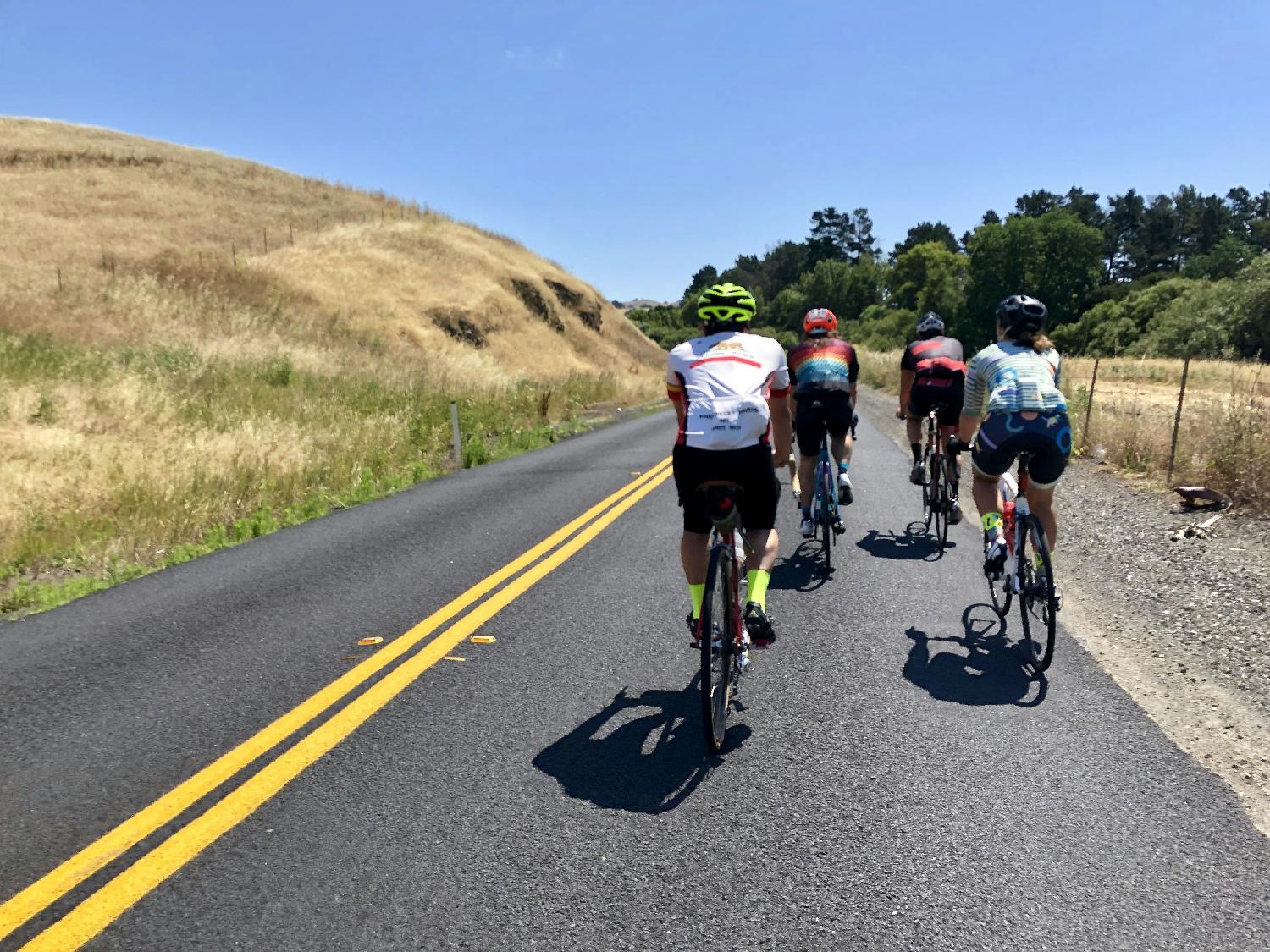 Team members out for a Saturday bike ride. Our Second Genome team has many cycling and outdoors enthusiasts. 