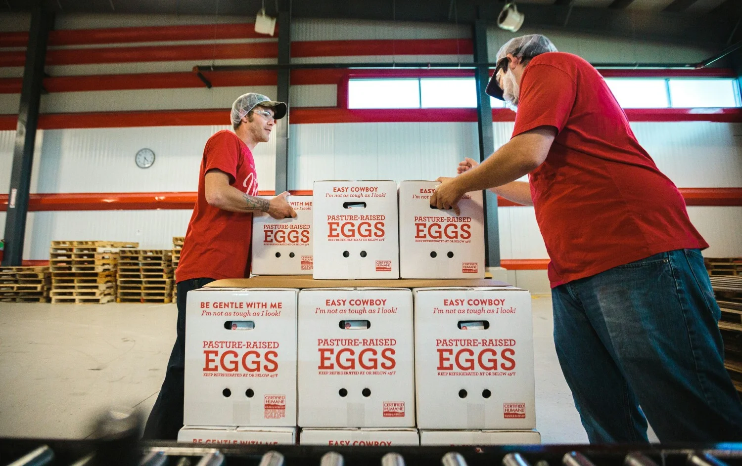 Crewmembers packing eggs at Vital Farms’ egg washing and packing facility in Springfield, Missouri