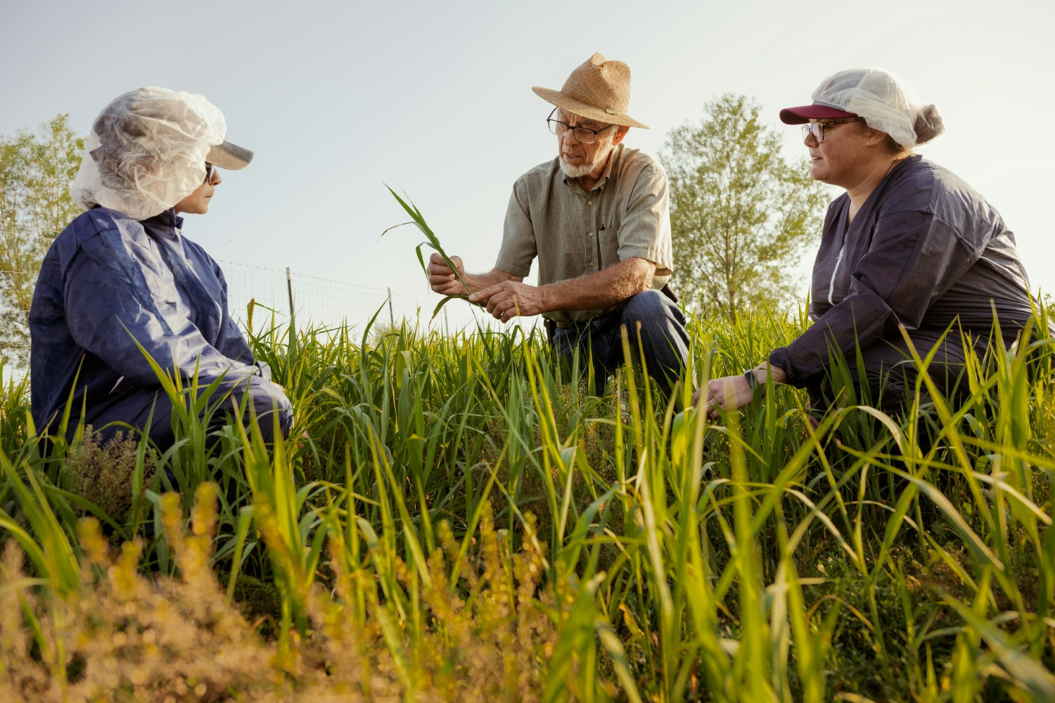 Vital Farms crewmembers learning about regenerative agriculture from a Vital Farms farmer