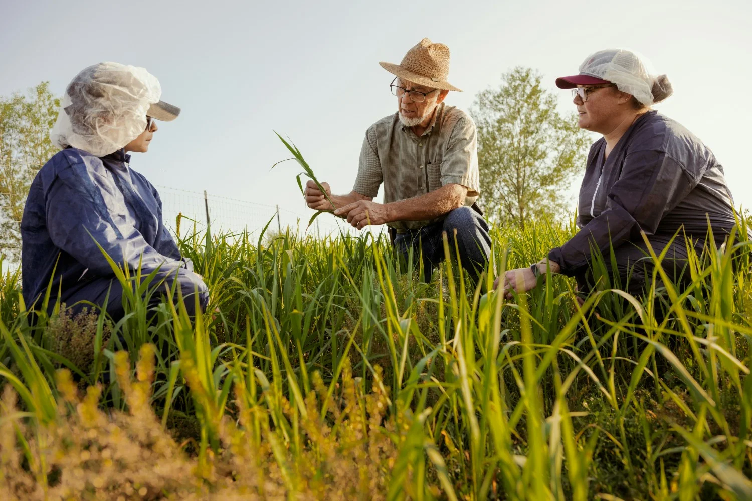 Vital Farms crewmembers learning about regenerative agriculture from a Vital Farms farmer
