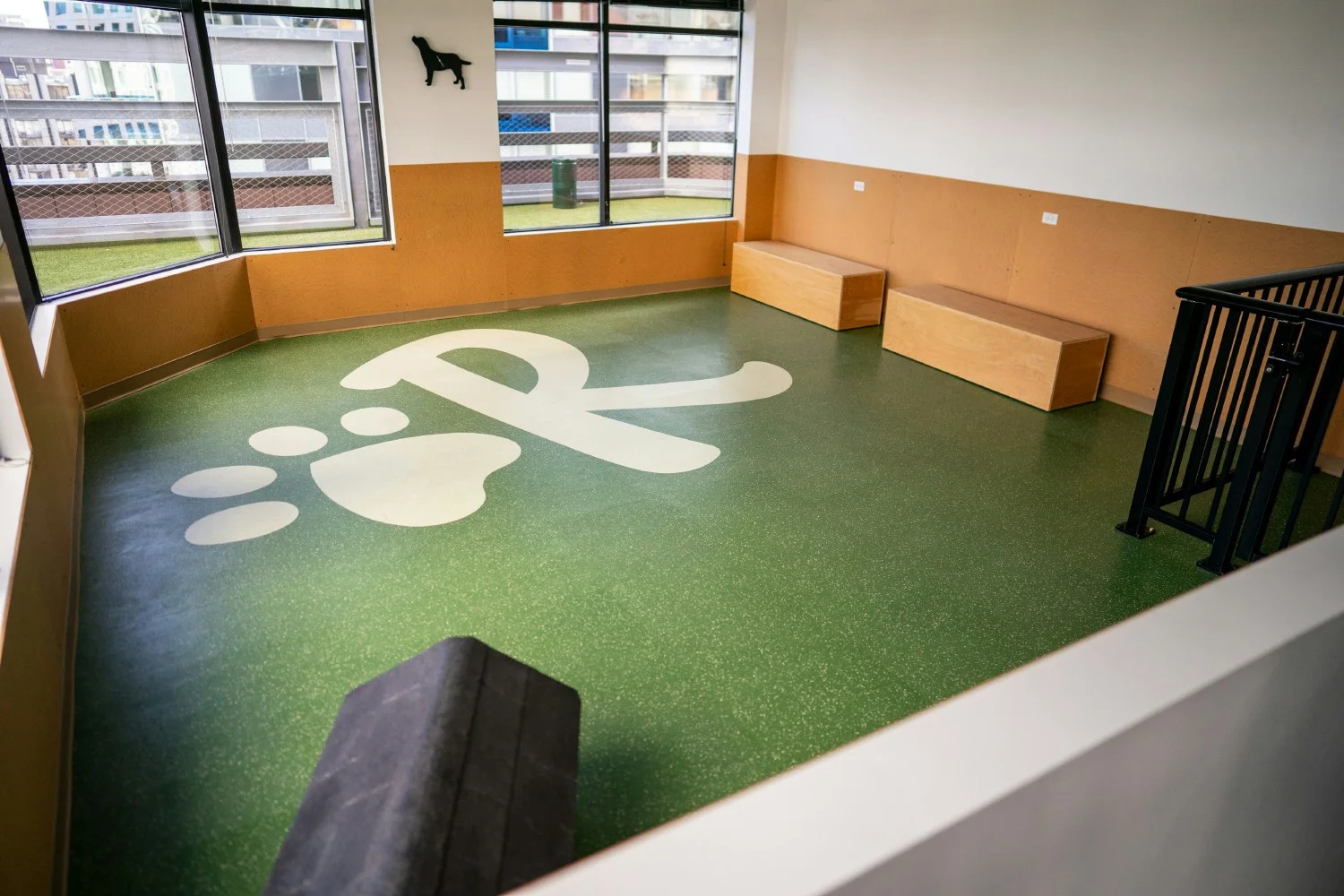 Rover's indoor dog play area, complete with treats (for humans and pups!)
