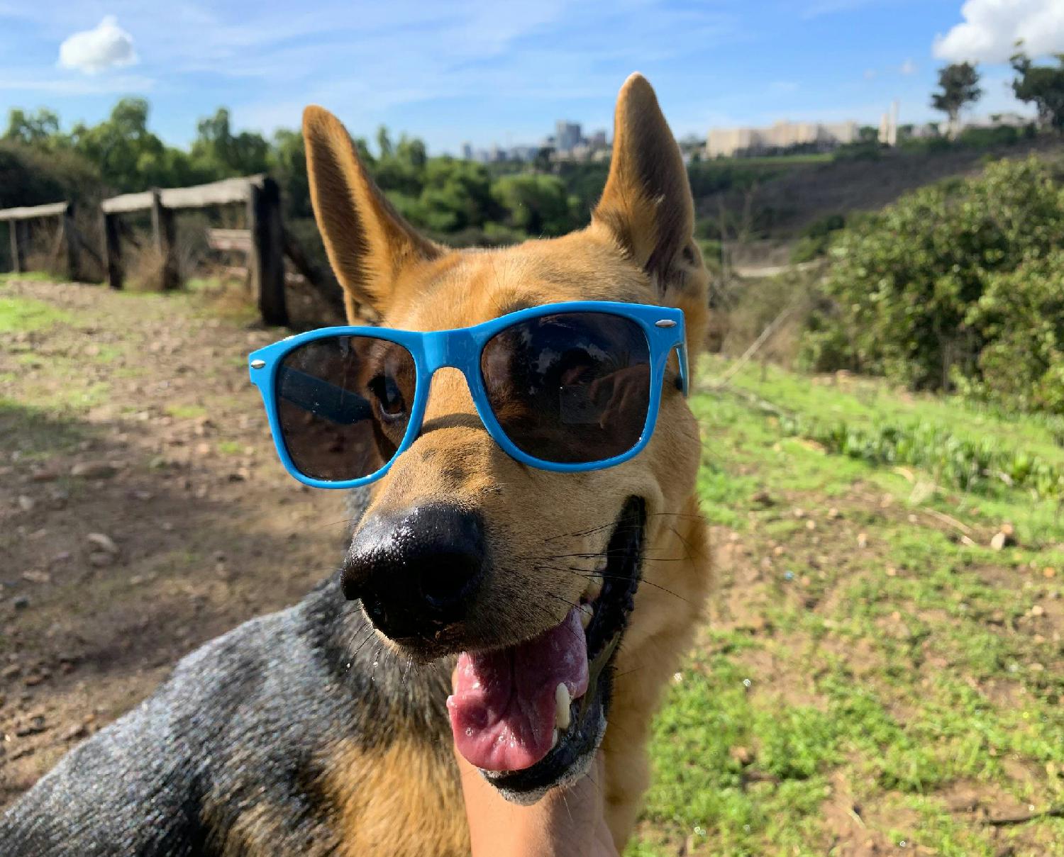 Sunrun is always looking for new swag models.