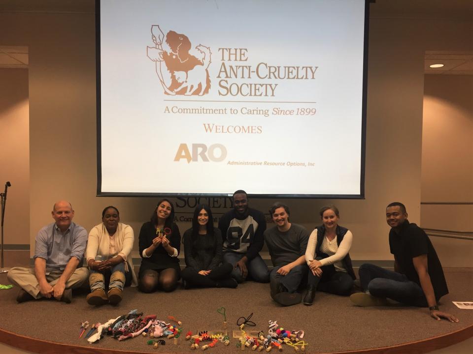 Team Event at Anti Cruelty