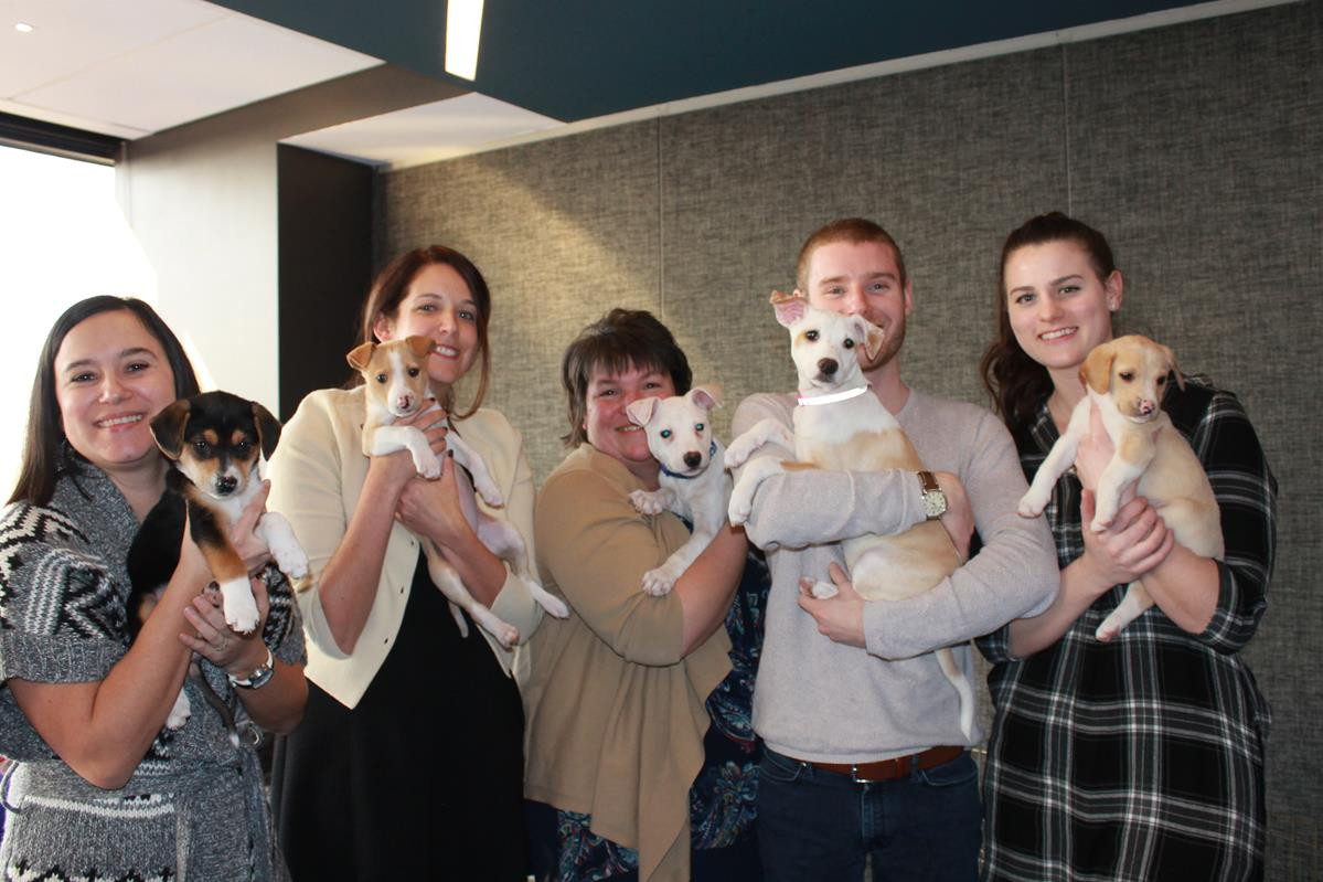 A Puppy Love Party For Employees!