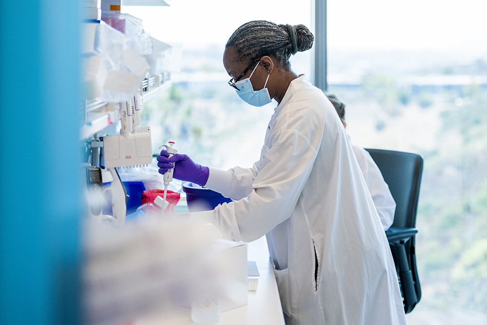A scientist in the lab
