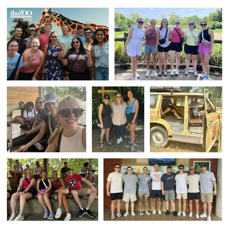 Young Professionals attend YP Zoo Days in LBMC's Nashville, Knoxville, Chattanooga and Louisville markets.
