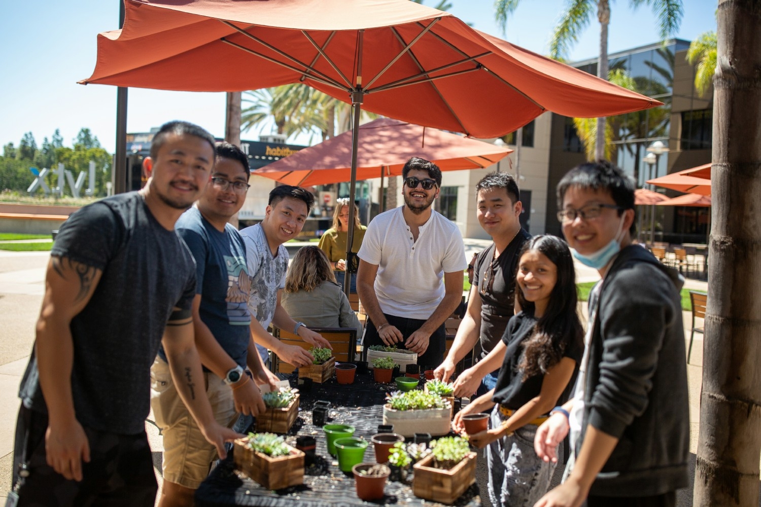 Lytx welcomed employees back to the office with a DIY succulent station to help them spruce up their desks.   