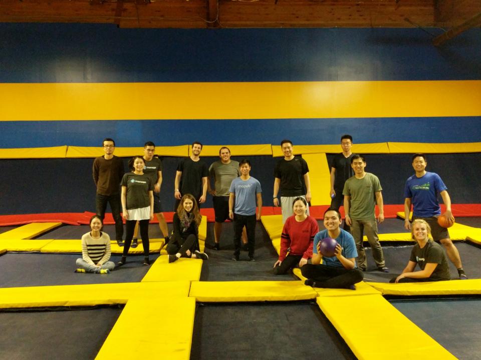 Team Trampoline Dodge ball