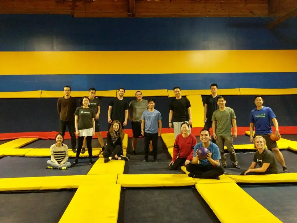 Team Trampoline Dodge ball