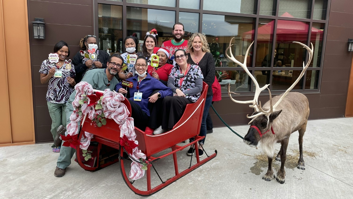 Annual staff reindeer event