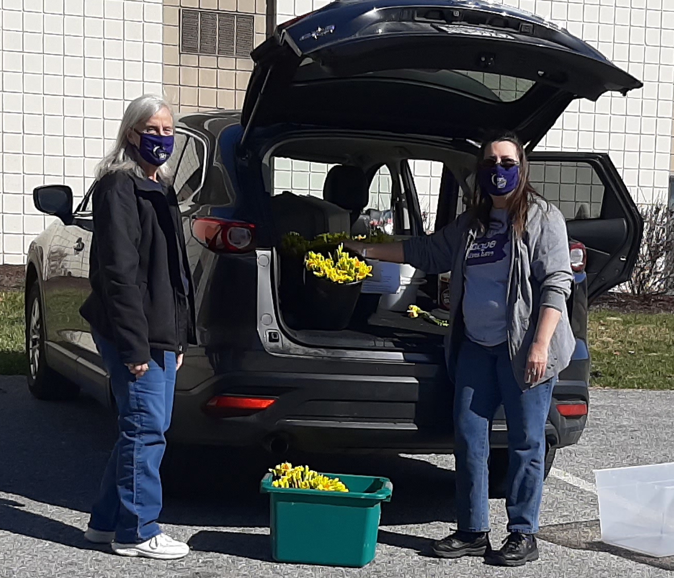 Team members deliver daffodils to residents at life plan communities. Team member contributions paid for the flowers.