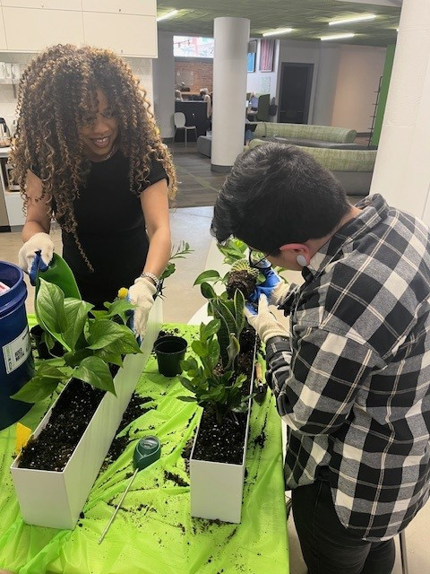 The PACO team rolled up their sleeves to make the office greener on Earth Day! 