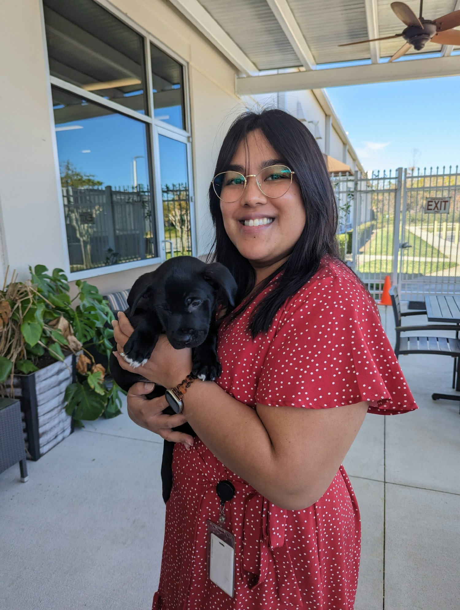 Our manager of intern audit supporting a visit from local animal rescue Sophies Circle