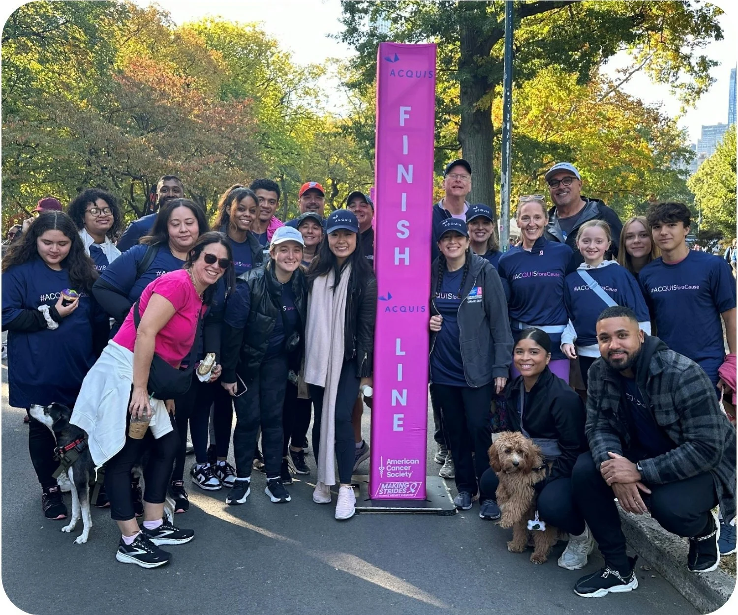 Acquis employees participating in the American Cancer Society's Making Strides for Breast Cancer event in Central Park.