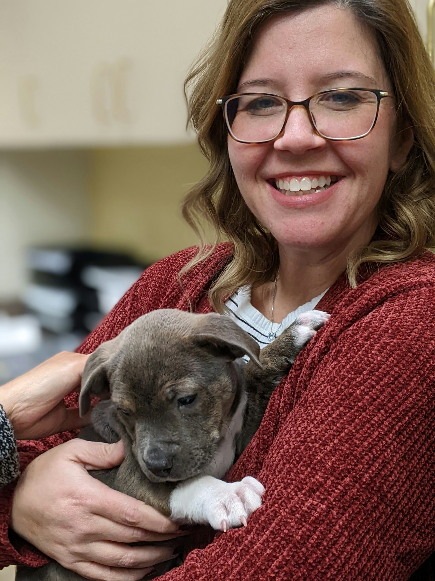 Enjoying Puppy therapy for our support of the Wolf Trap Animal Rescue