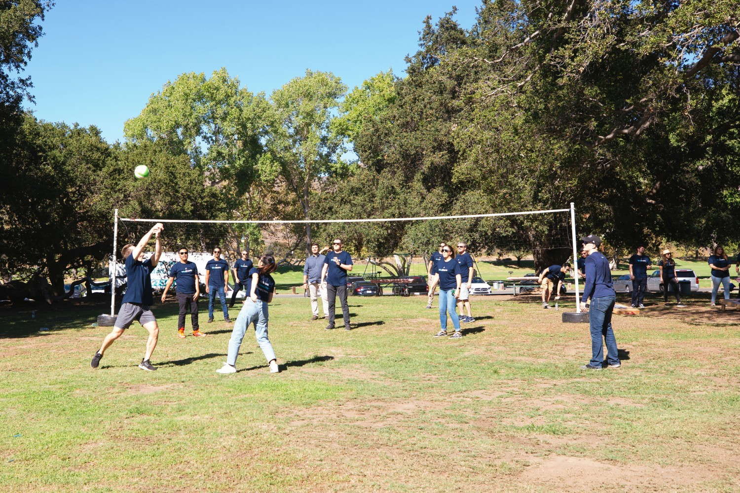 Volleyball game during our last company picnic.