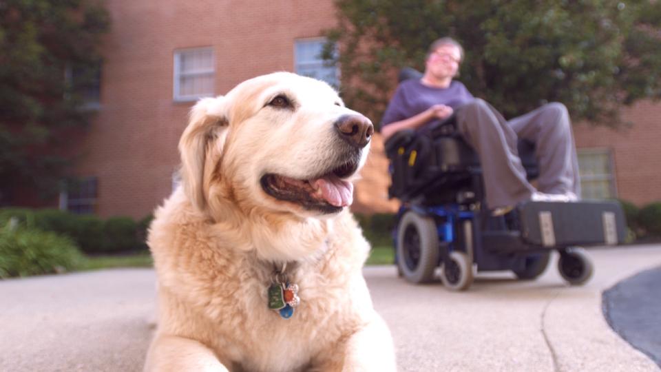 staff member with our facility dog Zeno