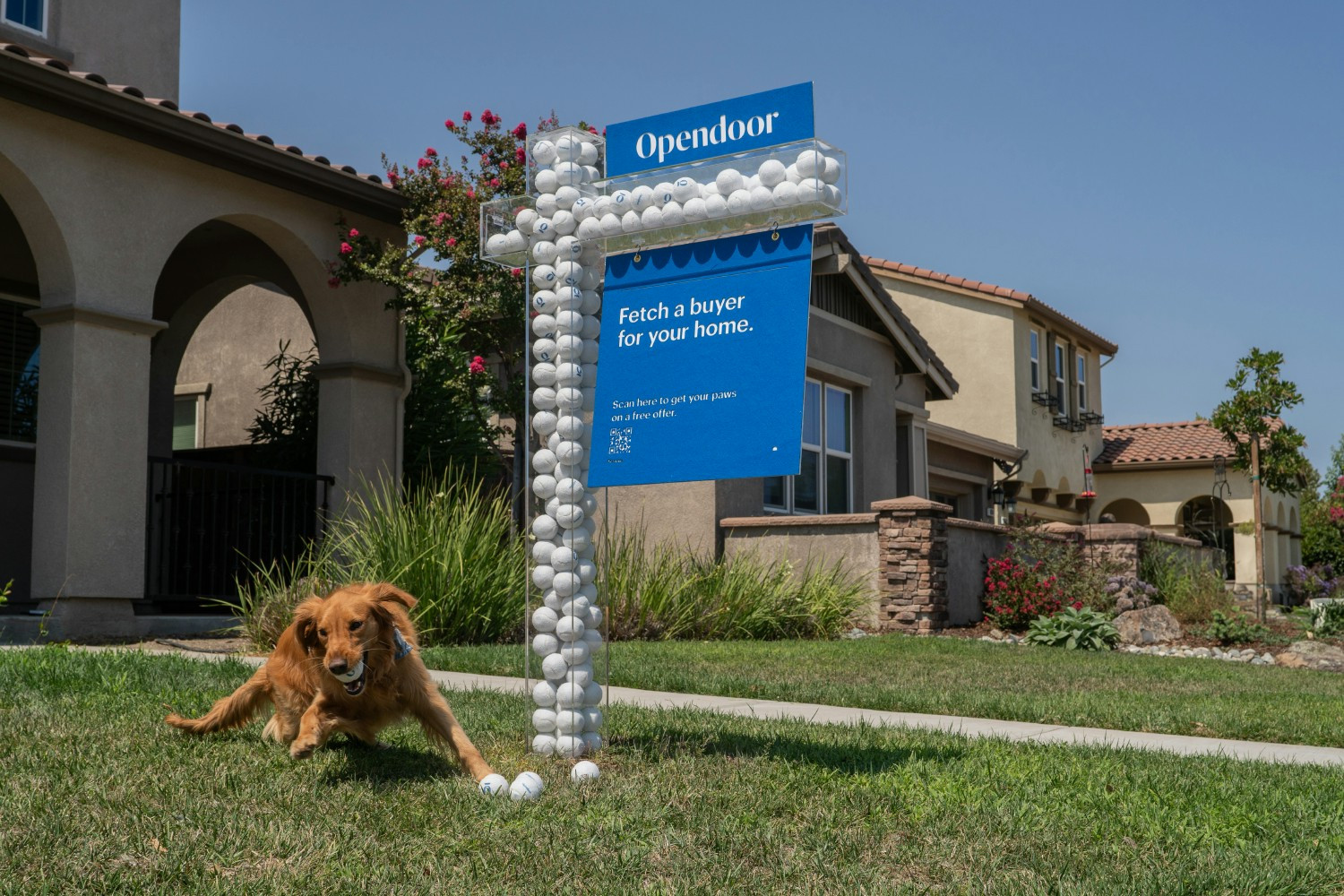 Making life's biggest transaction less stressful means more time for joy - and fetch.
#startandendwiththecustomer