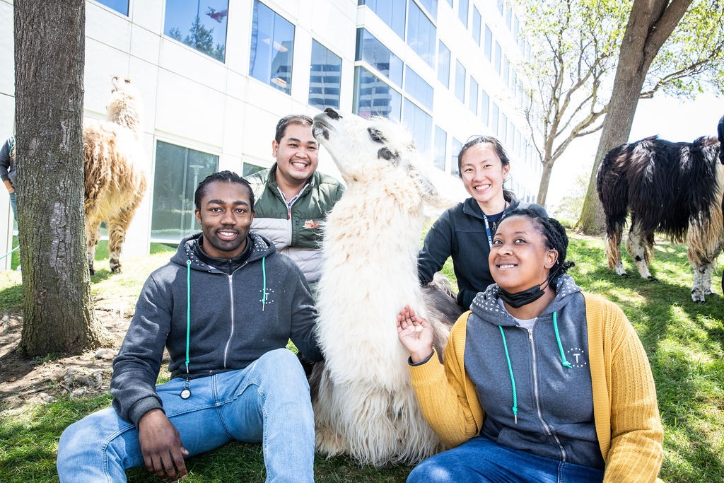 Twisters celebrating at our Llama-tastic Biopharma Picnic