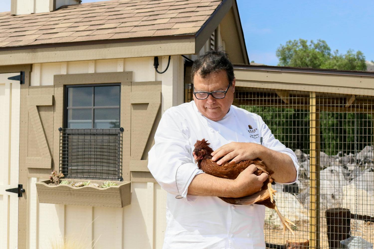 Farm-to-Terranea Chickens & Executive Chef