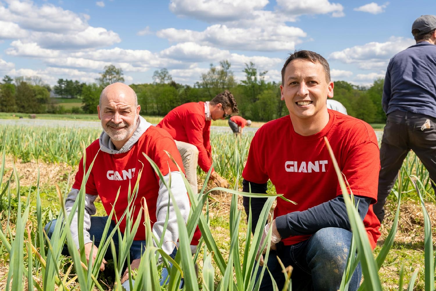 The GIANT Company team members taking time to volunteer and serve their communities. 