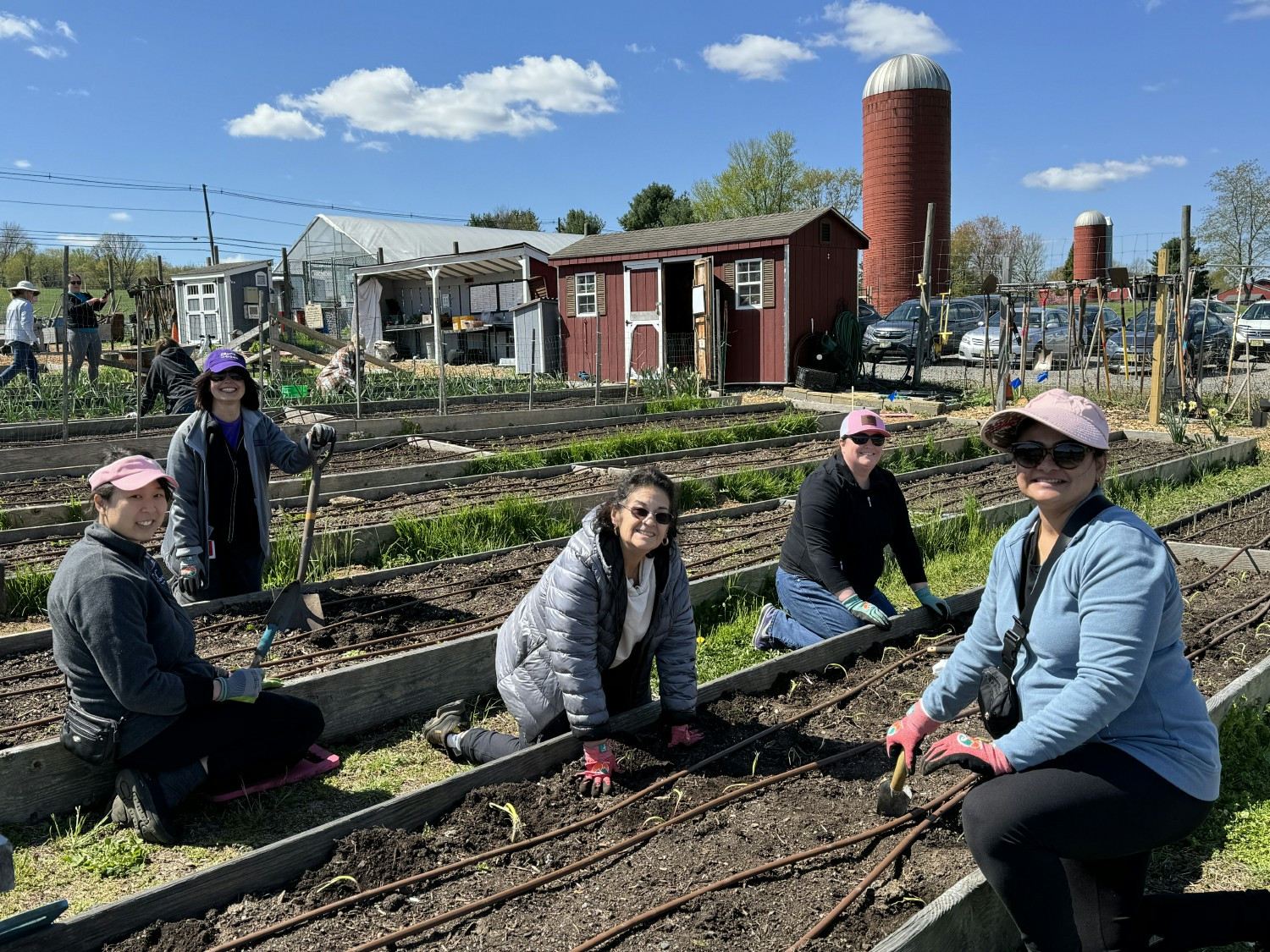 Insmed team members volunteering on Earth Day 2024