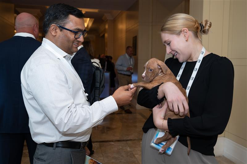 Our Puppy Relaxation Stations at EMPOWER | Washington, D.C.