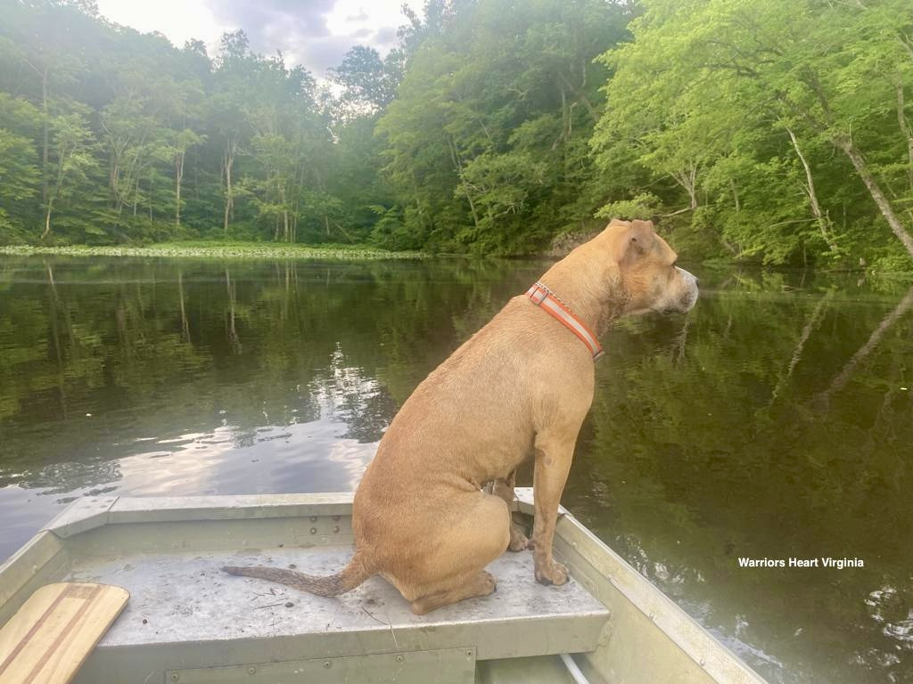 Warriors Heart Virginas 25 Acre lake