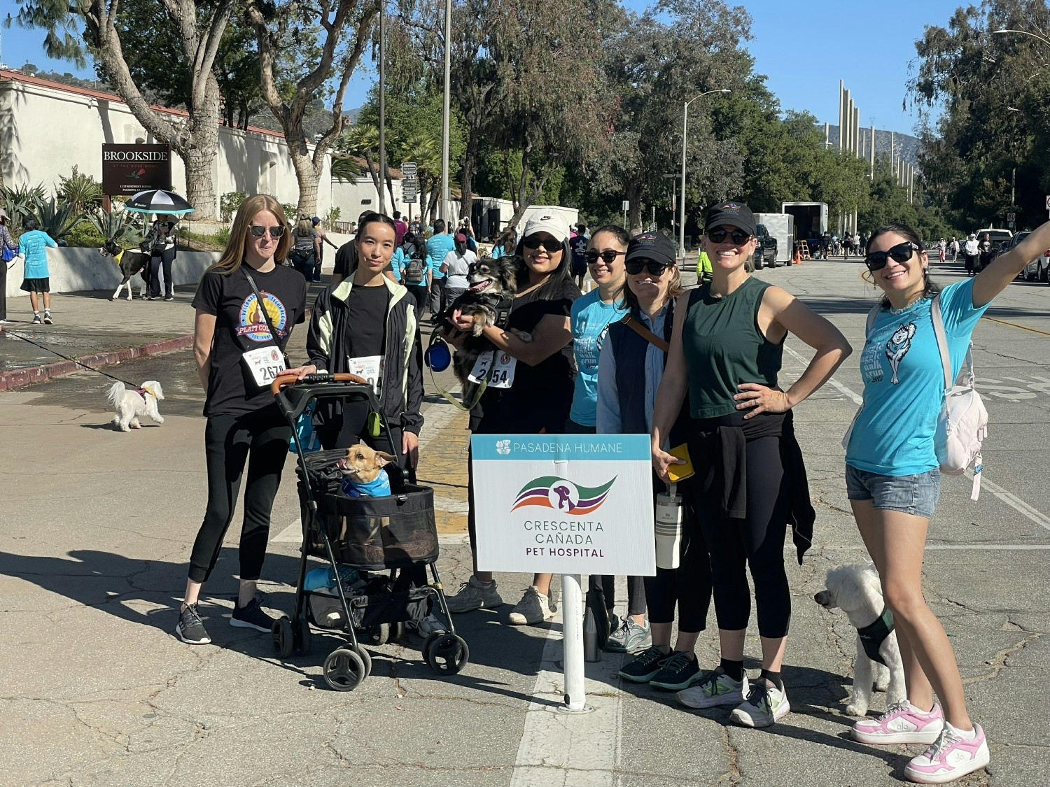 Supporting the Pasadena Humane Society Wiggle Waggle Walk