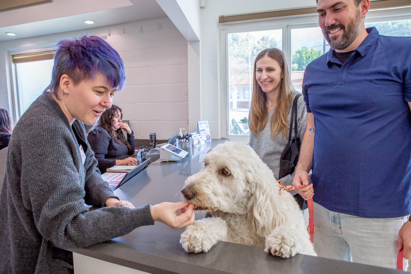 We always take time to stop and give pets a treat