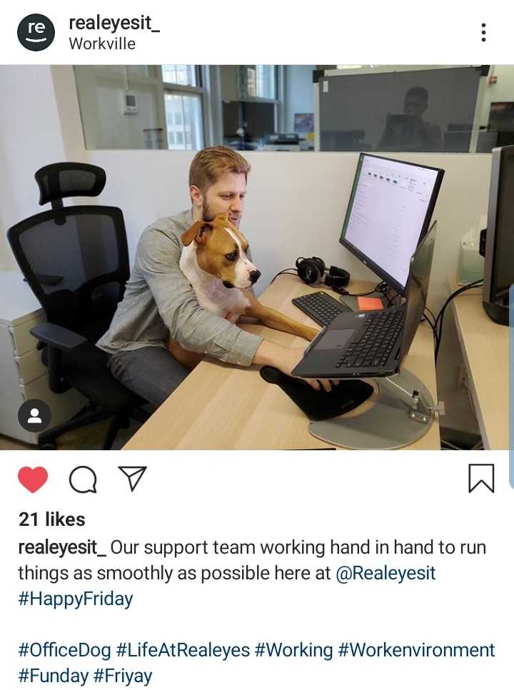 All of our offices are dog friendly
