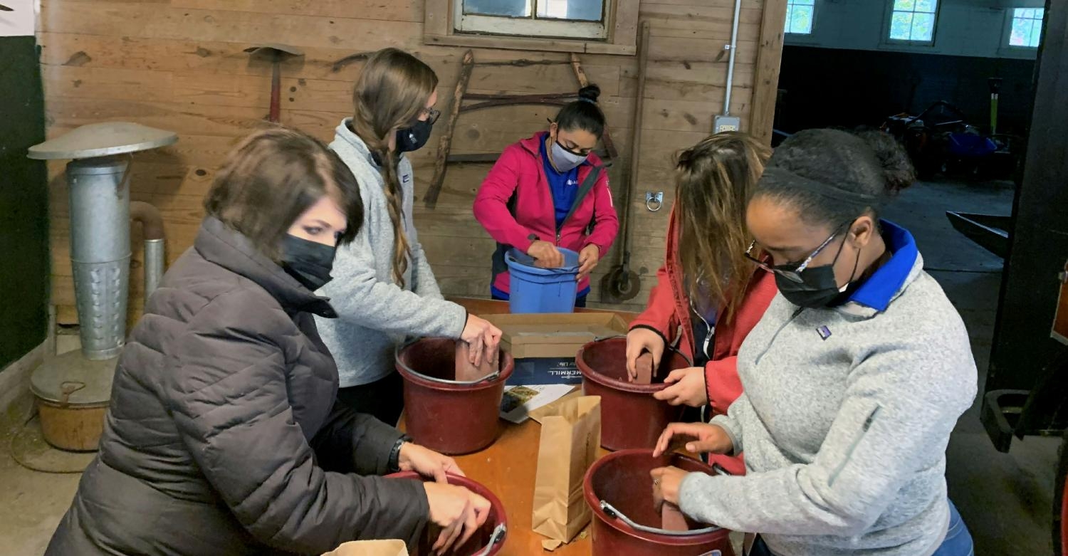 Ardeo team mates volunteering at a local forest preserve to help with seed collection