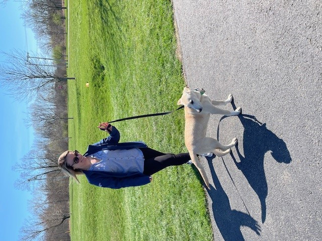 Volunteering at Helping Hounds - We love our puppies
