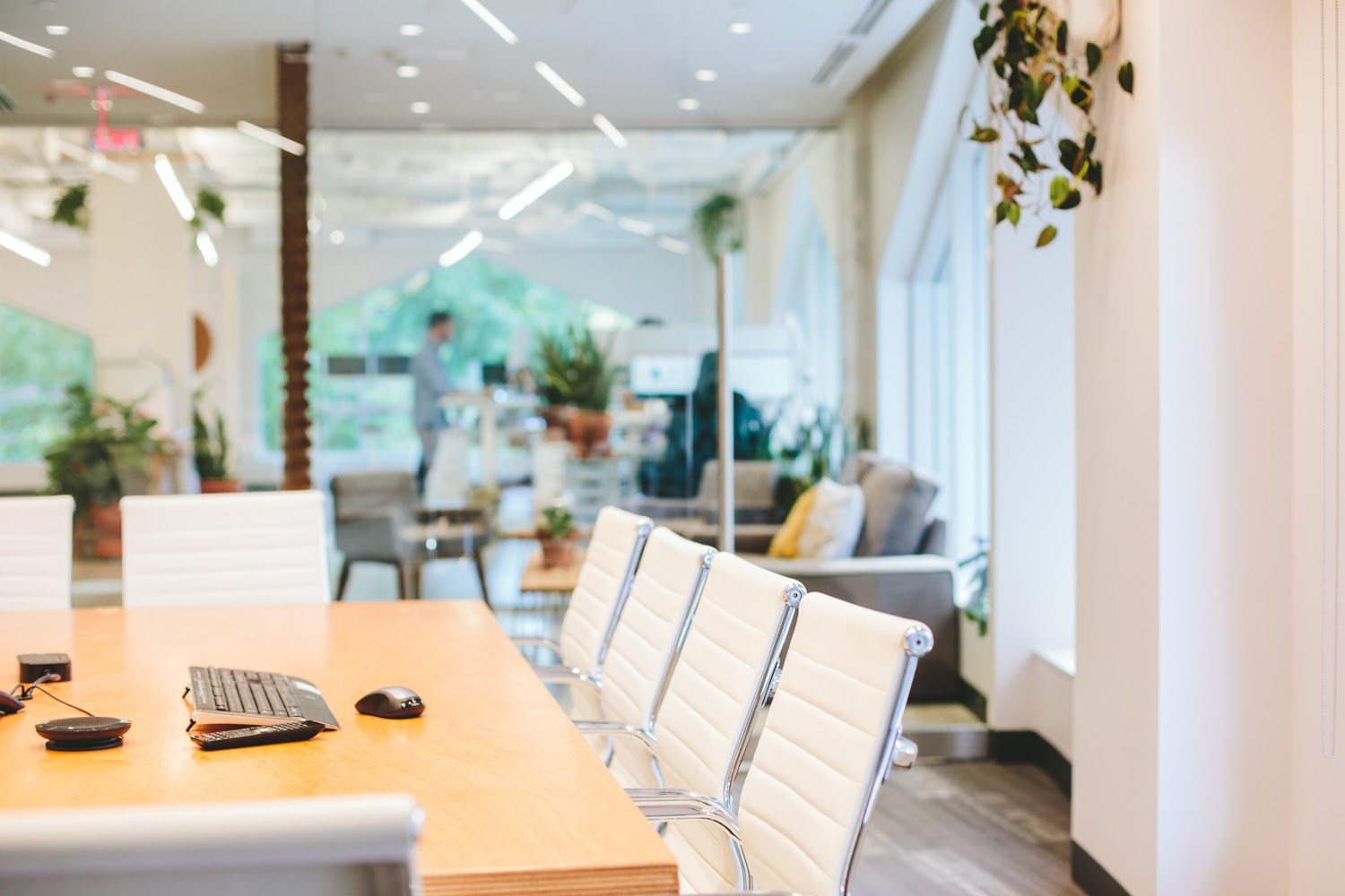 Our Arlington, VA HQ is bright, clean, green, and full of DIY features, like our homemade conference table and more. 