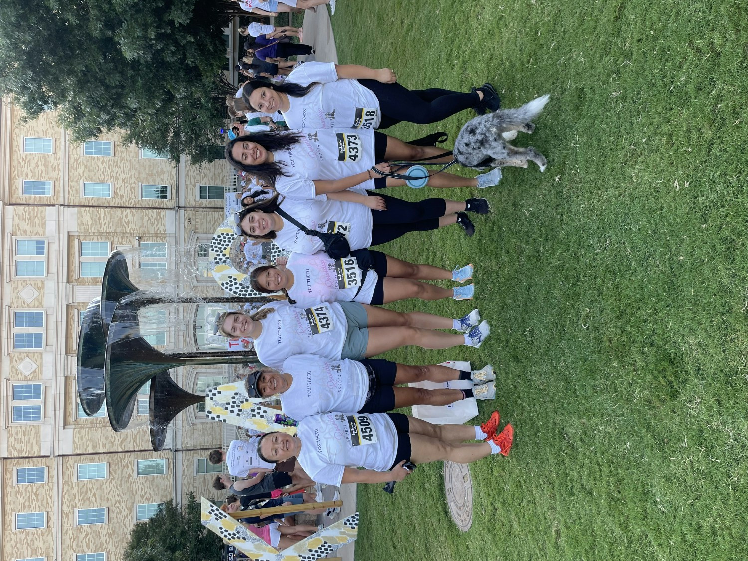 Team Building Fun