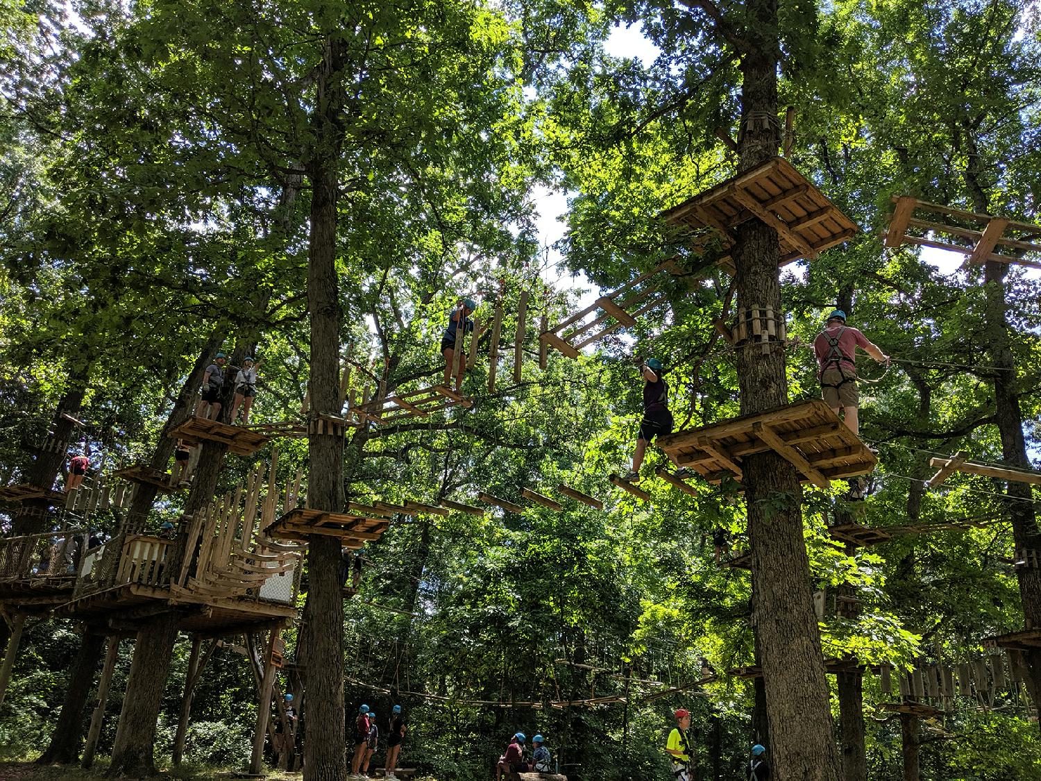 During the annual summer picnic, South Bend staff and their families have fun up in the trees at the Rum Village Aerial Climb.