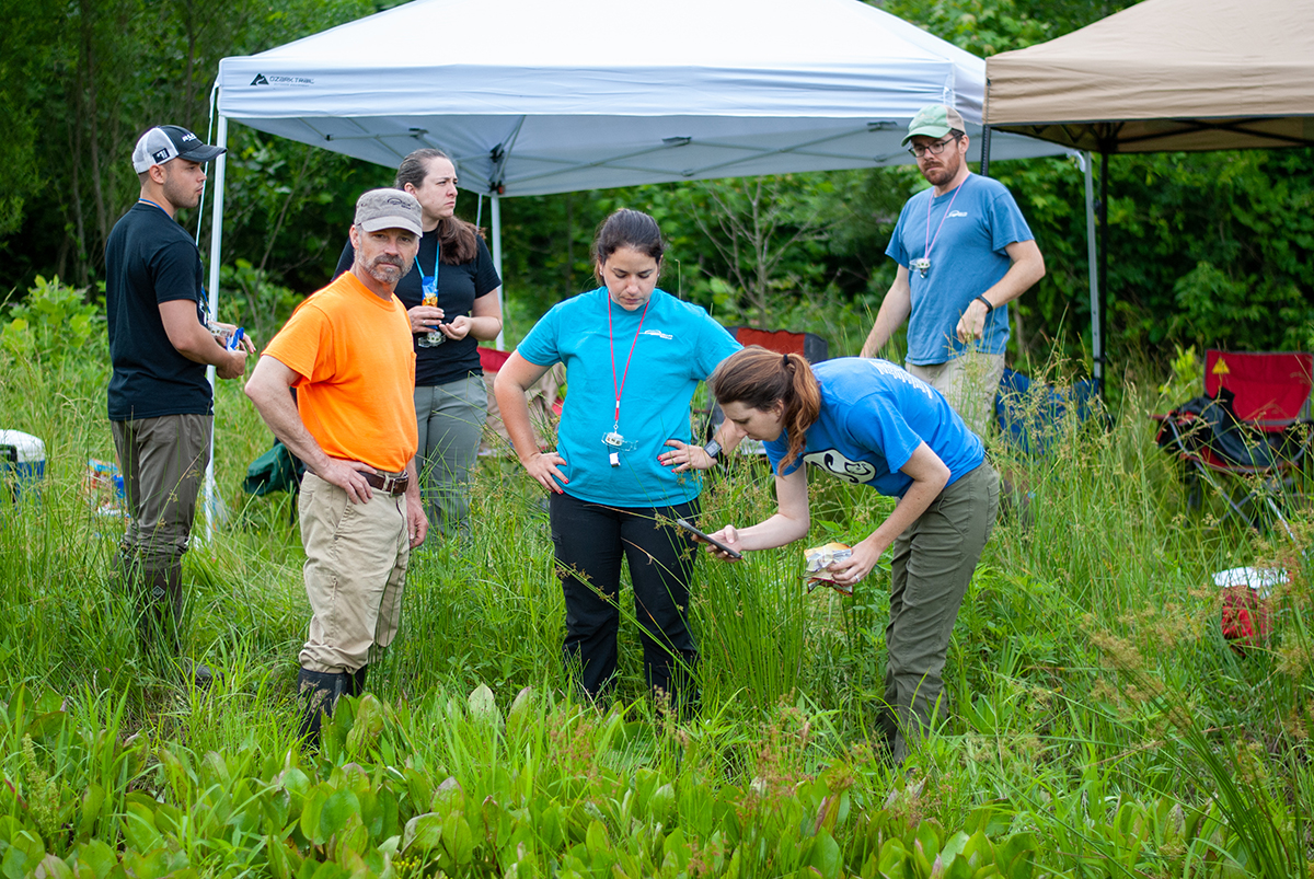 Environmental staff receives in the field instruction on wetland flora from the Institute of Botanical Training in Bloomington, Indiana.