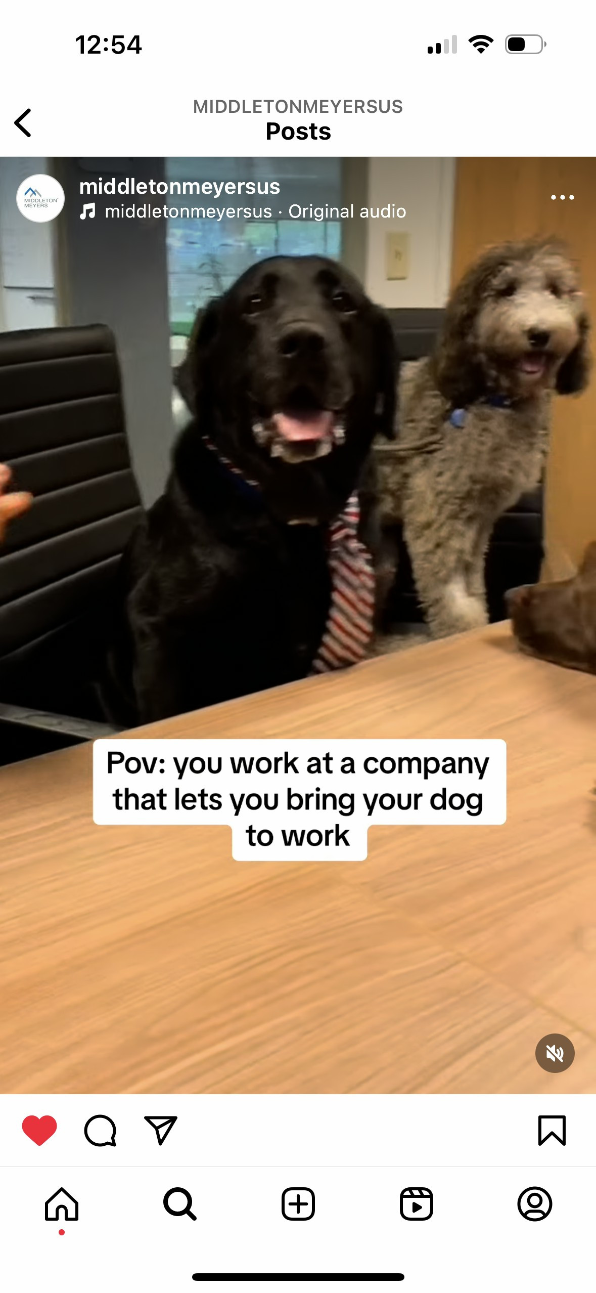 Bring your dog to work day!