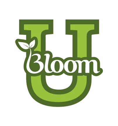 Bloom U